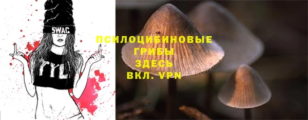 кокаин Алексеевка