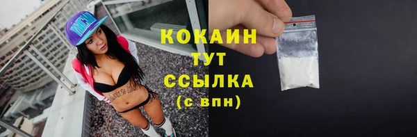 круглые Абаза