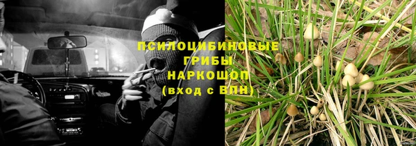 круглые Абаза