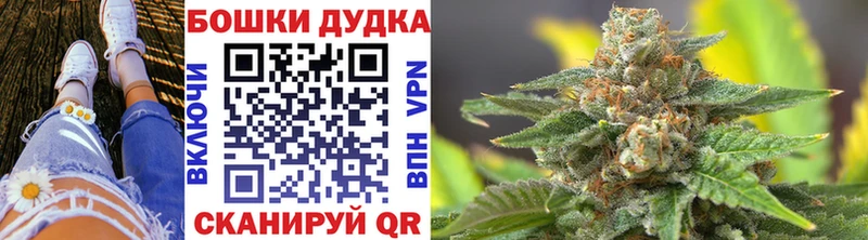 Каннабис сатива Элиста